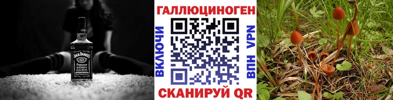 Псилоцибиновые грибы ЛСД Тара